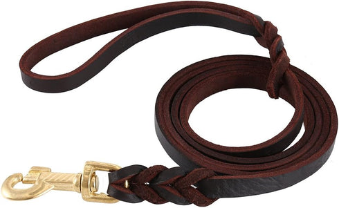 Premier Braided Leather Dog Leash 6/8/10 ft for Strong Medium Large Dogs, Leather Heavy Duty Training Leash (10FT)