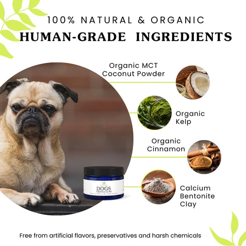 Isabellas Clearly Teeth & Gums for Dogs | Natural Tooth Cleaning Powder | No-Rinse Dog Toothpaste Alternative