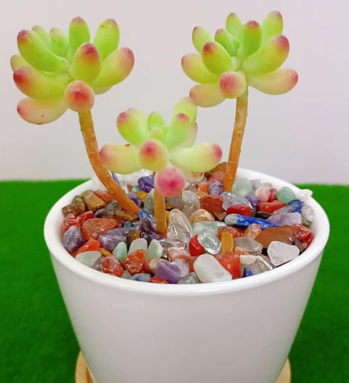 Decorative Tumbled Gravel, Chakra Colorful Crystals Chip, Polished Natural Gem Aquarium Gravel Rocks 100g.
