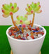 Decorative Tumbled Gravel, Chakra Colorful Crystals Chip, Polished Natural Gem Aquarium Gravel Rocks 100g.