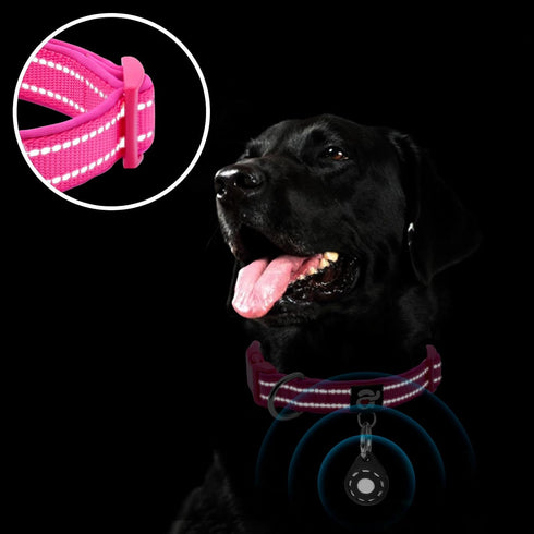 azuza Reflective Dog Collar with Airtag Holder, Soft Neoprene Padded Collar with ID Tag Ring, Adjustable for Large