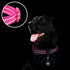 azuza Reflective Dog Collar with Airtag Holder, Soft Neoprene Padded Collar with ID Tag Ring, Adjustable for Large