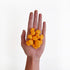 Pupford Cheese Crunchies, Premium Single-Ingredient Cheddar Treat for Dogs & Puppies (7.50 oz)