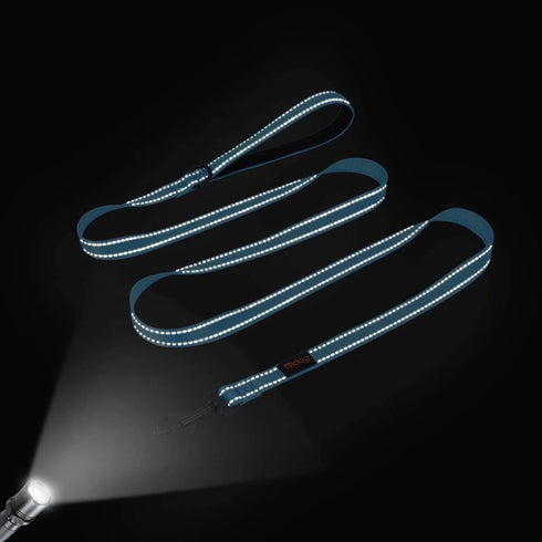 Didog 6FT Reflective Nylon Dog Leash, Durable 1” Wide Walking Pet Lead with Soft Padded Handle & Poop Bag Dispenser