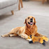 ALL FOR PAWS Dog Squeaky Fox Toy - Stuffed Animal Plush Chew Toy for Large Dogs