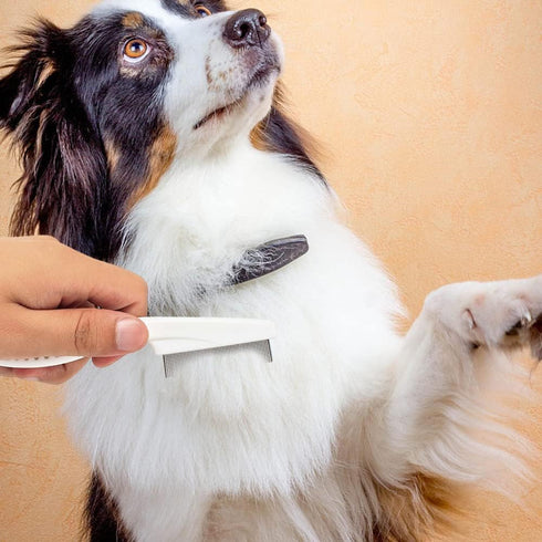 2 Pack Multifunctional Pet Comb, Upgrade Pet Grooming Brush Fine Magic Tear Stain Removal, Fine-Tooth Stainless Massage