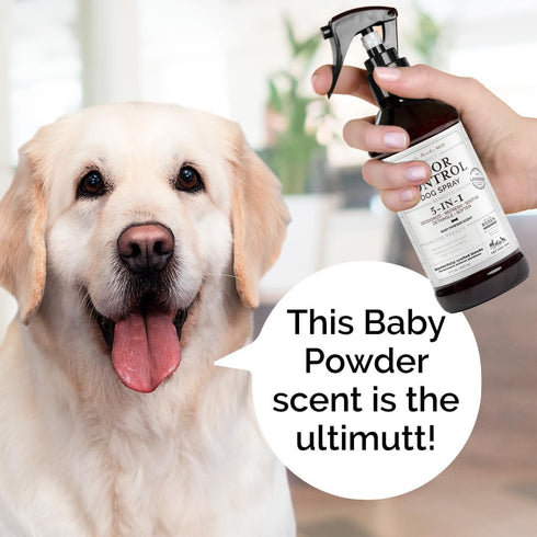 5-in-1 Odor Control Dog Spray, 240ml/8 fl oz, Oatmeal, Lavender, Tea Tree Oil for Dogs with Odor Issues