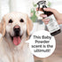 5-in-1 Odor Control Dog Spray, 240ml/8 fl oz, Oatmeal, Lavender, Tea Tree Oil for Dogs with Odor Issues