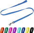 5/6 FT Waterproof Dog Leash, Durable Odor-Proof with Strong Metal Hooks for Small Medium Large Dogs (Blue, 6FT - 1 inch