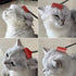 2PC Cat Comb Telescopic Teaser Wand Retractable Scratch Comb Tickle Handy Interactive Play Toy for Small Animal Rabbit