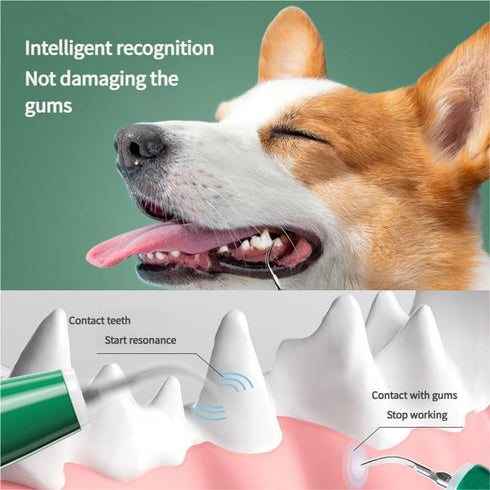 WIKICRYSTAL 5 Pet Ultrasonic Dental Cleaner for Dogs & Cats Electric Tooth Cleaner with Modes, LED Light, Multiple Tips