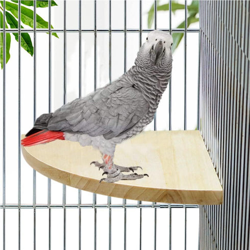 Bird Parrot Corner Perch, Flat Platform Stand, Easy to Install, Safe and Stable Hardwood Bird Cage Perches (XL)