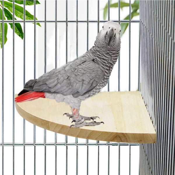 Bird Parrot Corner Perch, Flat Platform Stand, Easy to Install, Safe and Stable Hardwood Bird Cage Perches (XL)