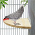 Bird Parrot Corner Perch, Flat Platform Stand, Easy to Install, Safe and Stable Hardwood Bird Cage Perches (XL)