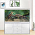 Foggy Forest Terrarium Background, 48x24 inches Polyester Background for Tropical Reptile Habitat