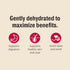 2 lb The Honest Kitchen Human Grade Wholemade Dehydrated Whole Grain Beef & Oat Dog Food, Bag