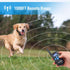 Petrainer Training Collar for Dogs - Waterproof Rechargeable E-Collar with 3 Safe Modes for Small, Medium, Large Dogs