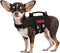 Puppy Harness - Small Dog Harness with Handle, No-Pull Pet Harness for Small Dog Cat (XXS)