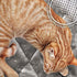 Furhaven ThermaNAP Self-Warming Cat Bed for Indoor Cats & Small Dogs, Washable, Reflects Body Heat - Gray, Small