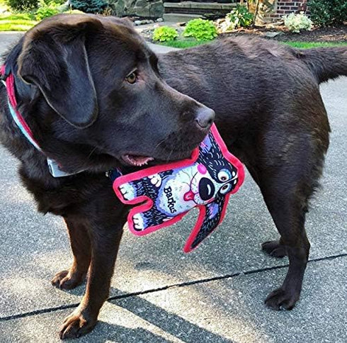 Durable Dog Toy with Squeaker - Floppy Tough Chew Toy - Barkus, Small 5 Inch