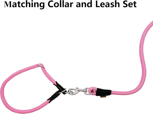 Braided Rope Dog Leash, Traction Walking Training Lead for Medium/Large Dogs (1/2", 2FT, Pink)