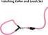Braided Rope Dog Leash, Traction Walking Training Lead for Medium/Large Dogs (1/2", 2FT, Pink)