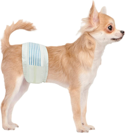 BV Dog Diapers Male X-Small (Waist 9-14 in) Super Absorbent - 50