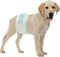 BV Dog Diapers Male Medium (Waist 13-23in) Super Absorbent - 50 Count