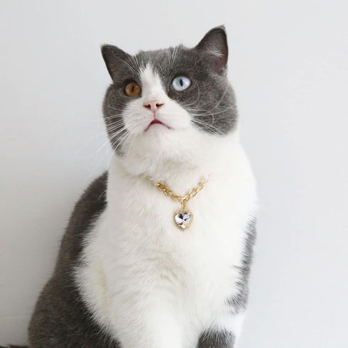 Lightweight Cat Necklace Collar with Heart Rhinestone Pendant, Adjustable Shine Diamond for Kittens, Small Dogs (White)