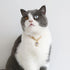 Lightweight Cat Necklace Collar with Heart Rhinestone Pendant, Adjustable Shine Diamond for Kittens, Small Dogs (White)