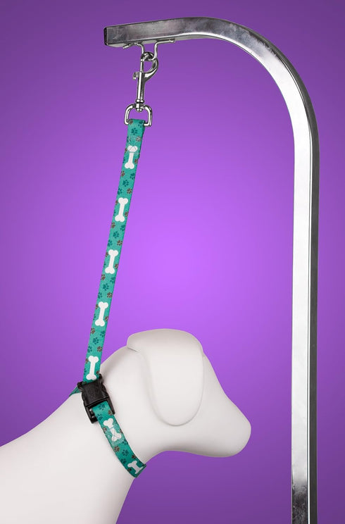 Country Brook Petz 5/8 Inch Oh My Dog Grooming Loop with Quick Release Buckle, 14 Unique Designs
