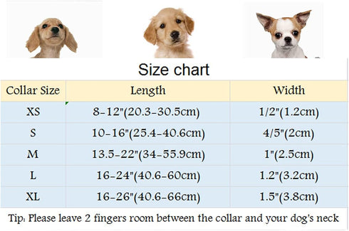 ARING PET X-Large Bowtie Dog Collar, Velvet with Removable Bowtie, Cute & Comfortable (Pack of 1)