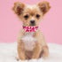 10 Pcs 4.4" Flowers Small Dogs Collar Charms, Multi-Color Slides Bow Ties Rhinestones for Pet Wedding Birthday