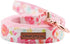 Elegant Little Tail Dog Leash, Strong Durable Webbing Leash for Small Medium Large Dogs, Soft Walking Style