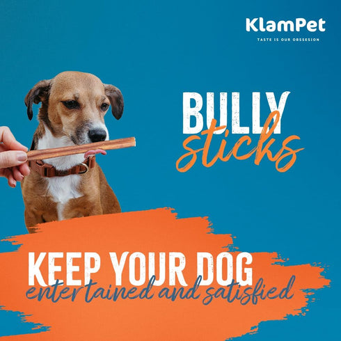 6" (15 Pack) 100% (6" (15 Pack)) Bully Sticks for Dogs Natural Single-Ingredient Beef Dog Chews Long-Lasting, Low Odor