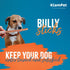 6" (15 Pack) 100% (6" (15 Pack)) Bully Sticks for Dogs Natural Single-Ingredient Beef Dog Chews Long-Lasting, Low Odor