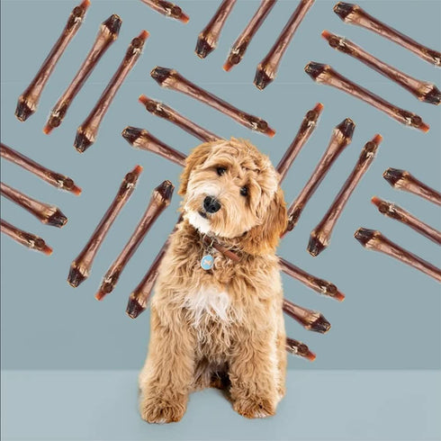 ROAM Pet Treats Bucky Bone - Grasslands Venison Dog Bone Chew – Long Lasting Chew for Dogs