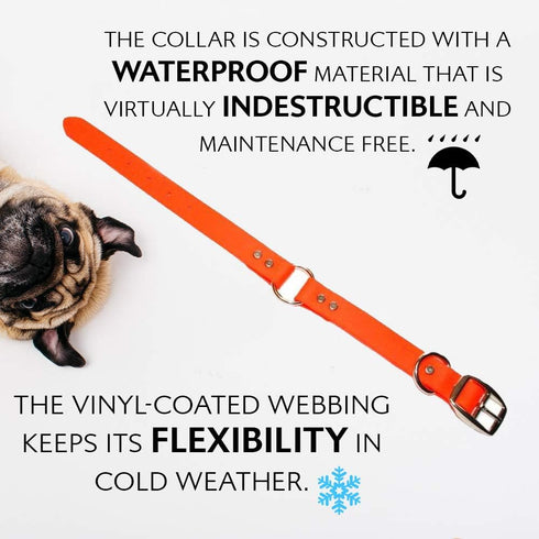 Regal Dog Products Waterproof Dog Collar and Leash Set, Small Orange, Vinyl Coated, Biothane, 5' Leash