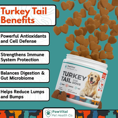 Immune 100% 90 Turkey Tail Mushroom for Dogs Gut Health & Support Supplement Natural Mushroom Blend with Reishi