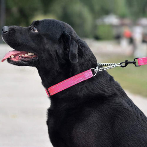 CollarDirect Martingale Dog Collar, Adjustable Stainless Steel Chain Reflective Nylon Pet Collars for Medium Large Dogs