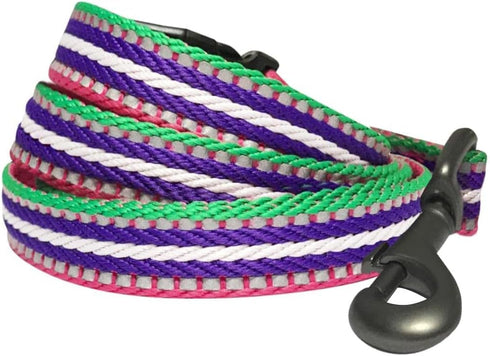 Blueberry Pet Reflective Dog Leash - Eco-Friendly Durable Nylon Puppy Essentials, Gentle Leader, Comfortable Handle for