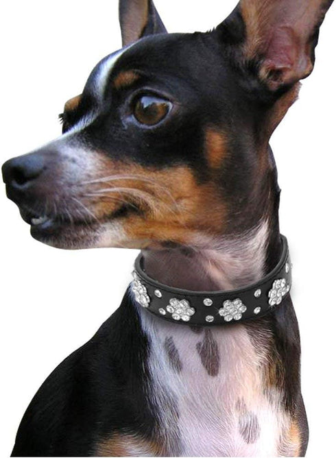 Rhinestone Dog Collar, Cute Flower Bling PU Leather Adjustable Sizes for Small, Medium, Large Dogs (S, Purple)