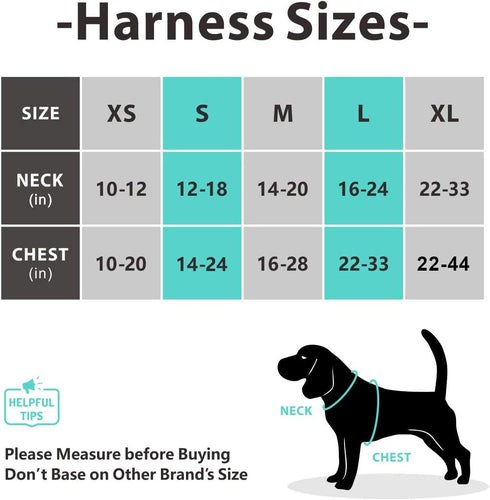 PoyPet No Pull Dog Harness, Reflective Adjustable No Choke Vest with Front & Back Leash Attachments for Small Medium