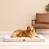 EHEYCIGA Orthopedic XL Dog Bed for Extra Large Dogs with Removable Washable Cover, Camel, 44x32