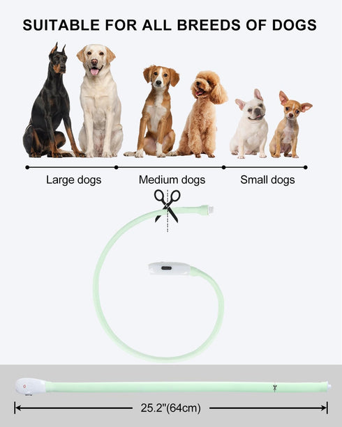 Light Up Dog Collar, Multi-Color USB C Rechargeable LED Collar, High Visibility Glow in The Dark for Small Medium Large