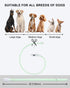 Light Up Dog Collar, Multi-Color USB C Rechargeable LED Collar, High Visibility Glow in The Dark for Small Medium Large
