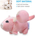 LEGEND SANDY Plush Squeaky Dog Toy Pack - 6 Cute Stuffed Chew Toys for Small & Medium Puppies
