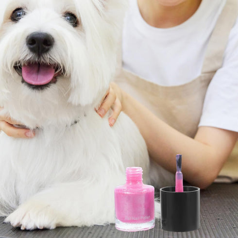 Dog Nail Polish Quick Dry Pet Nails Polish Set, 6 Pcs Water-Based Healthy Paw Grooming Dye Kit for All Pets