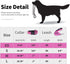 IVY&LANE Reflective Dog Collar and Leash Set, Breathable Nylon Pet Collar, Adjustable Neoprene Padded for Small Medium