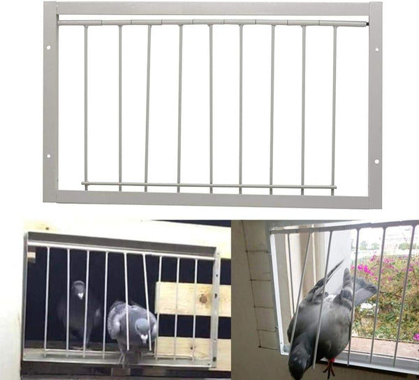 26cm Tall 60cm Long T-Trap for Pigeon Birds House Door - Pigeon Coop Supplier